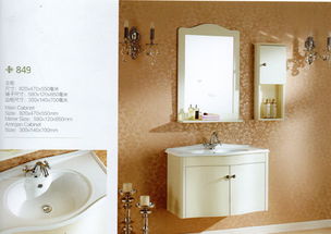 沈陽中德標致衛(wèi)浴 專業(yè)衛(wèi)浴潔具批發(fā)與直銷的首選